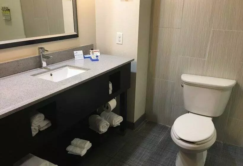 スイート, Holiday Inn Express & Suites Havelock Northwest New Bern, An Ihg