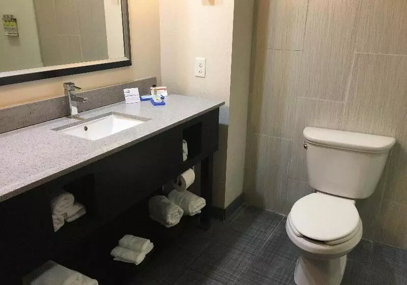 キングサイズベッドのエクゼクティブルーム, Holiday Inn Express & Suites Havelock Northwest New Bern, An Ihg