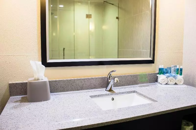 キングサイズベッドのエクゼクティブルーム, Holiday Inn Express & Suites Havelock Northwest New Bern, An Ihg