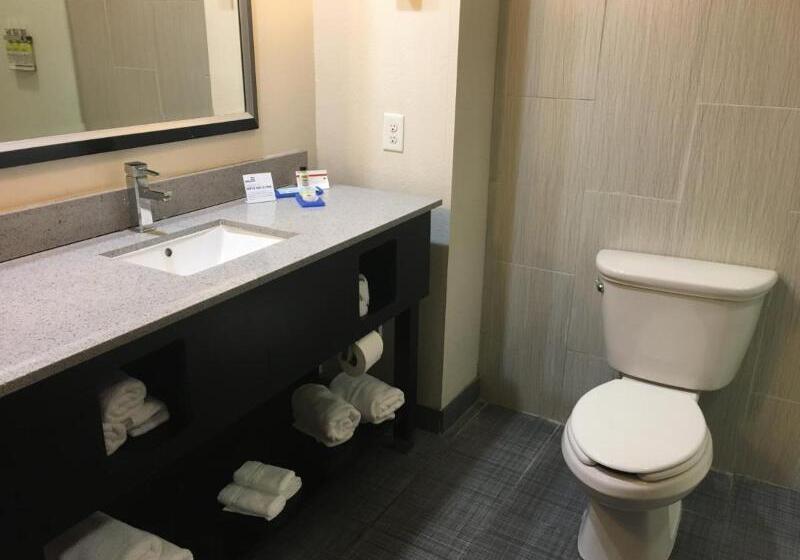 适合残疾人士使用的带超级大床的标准间, Holiday Inn Express & Suites Havelock Northwest New Bern, An Ihg