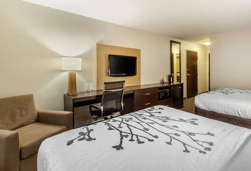 带2个双人床的标准工作室, Sleep Inn & Suites Grand Forks Near Alerus Center