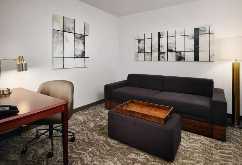 キングサイドベッドのスタンダードワンルーム, Springhill Suites Boulder Longmont
