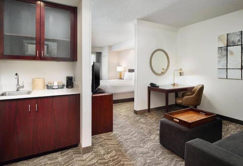 Студио Стандарт Кровать Кинг, Springhill Suites Boulder Longmont