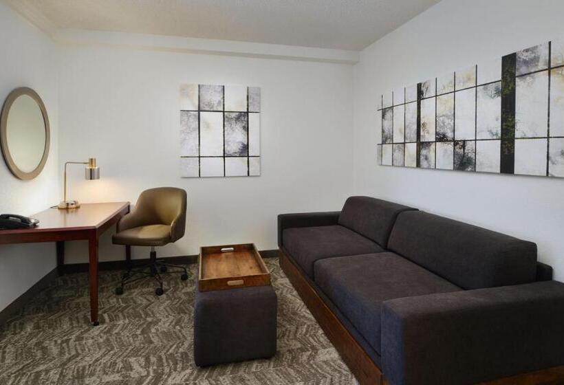 스탠다드 스튜디오, Springhill Suites Boulder Longmont
