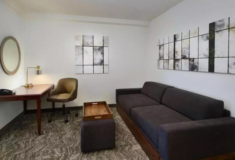 スタンダードスタジオ, Springhill Suites Boulder Longmont
