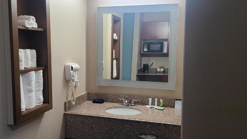 キングサイズベッドのスタンダードルーム, Super 8 By Wyndham Lubbock West