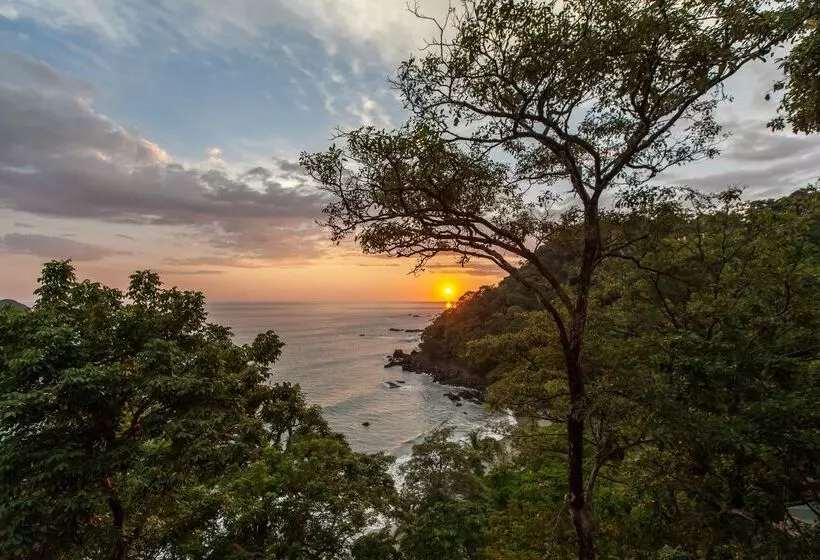 Premium Suite Sea View, Arenas Del Mar Beachfront & Rainforest Resort Member Of The Cayuga Collection