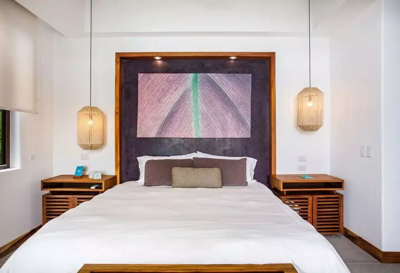 Superior Room, Arenas Del Mar Beachfront & Rainforest Resort Member Of The Cayuga Collection