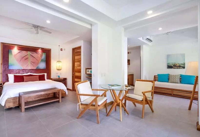 Suite, Arenas Del Mar Beachfront & Rainforest Resort Member Of The Cayuga Collection