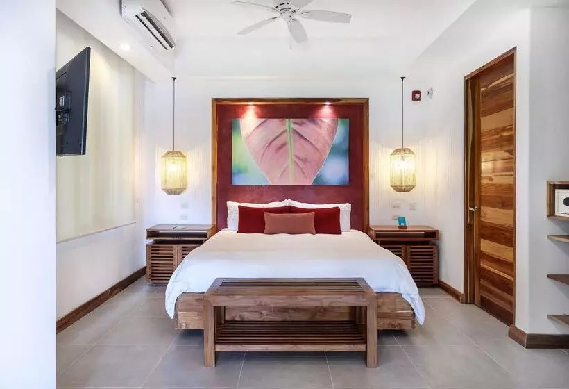 Suite, Arenas Del Mar Beachfront & Rainforest Resort Member Of The Cayuga Collection
