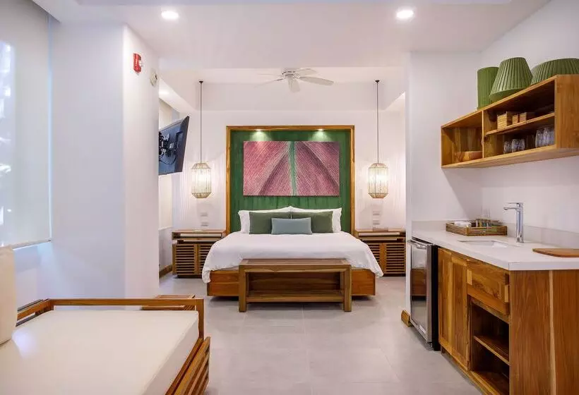 Standard Room, Arenas Del Mar Beachfront & Rainforest Resort Member Of The Cayuga Collection