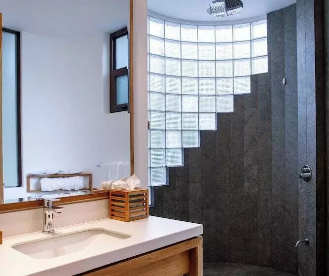 Superior Room, Arenas Del Mar Beachfront & Rainforest Resort Member Of The Cayuga Collection