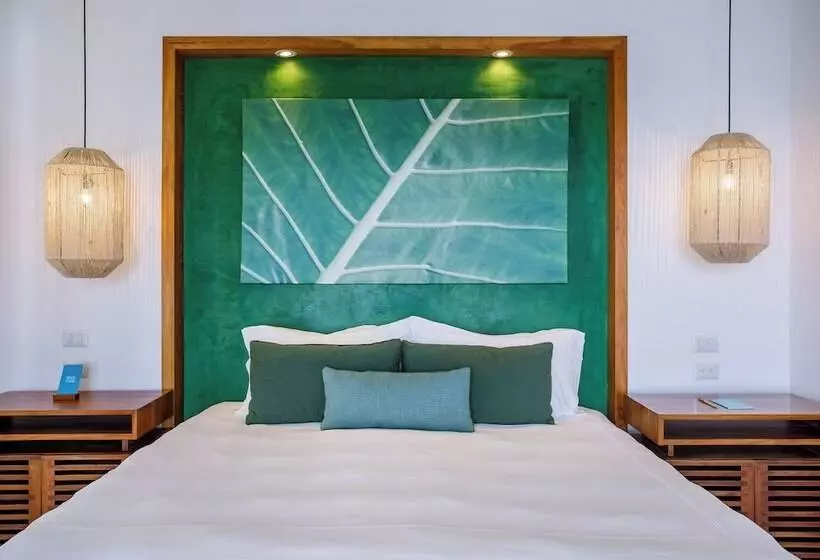 Superior Room, Arenas Del Mar Beachfront & Rainforest Resort Member Of The Cayuga Collection