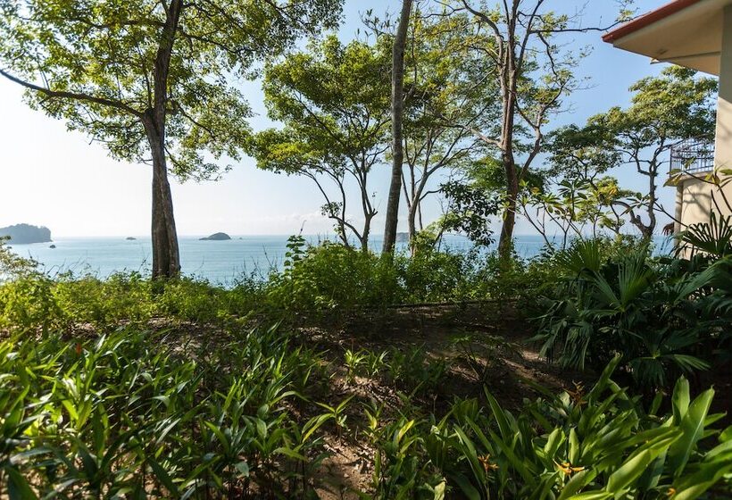 Номер Superior, Arenas Del Mar Beachfront & Rainforest Resort Member Of The Cayuga Collection