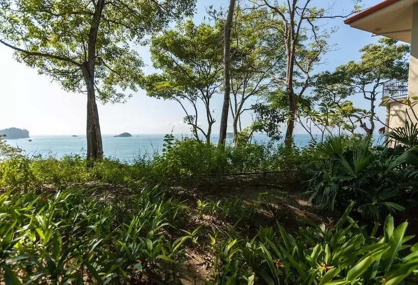 Superior Room, Arenas Del Mar Beachfront & Rainforest Resort Member Of The Cayuga Collection