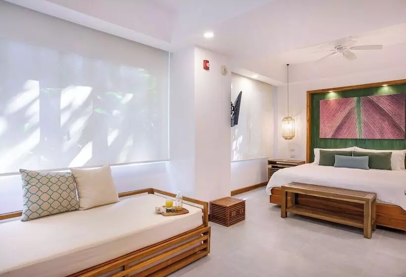 Standard Room, Arenas Del Mar Beachfront & Rainforest Resort Member Of The Cayuga Collection
