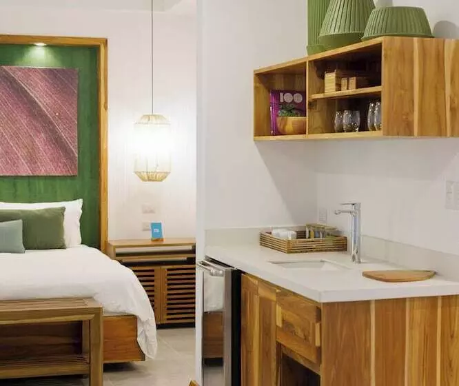 Standard Room, Arenas Del Mar Beachfront & Rainforest Resort Member Of The Cayuga Collection