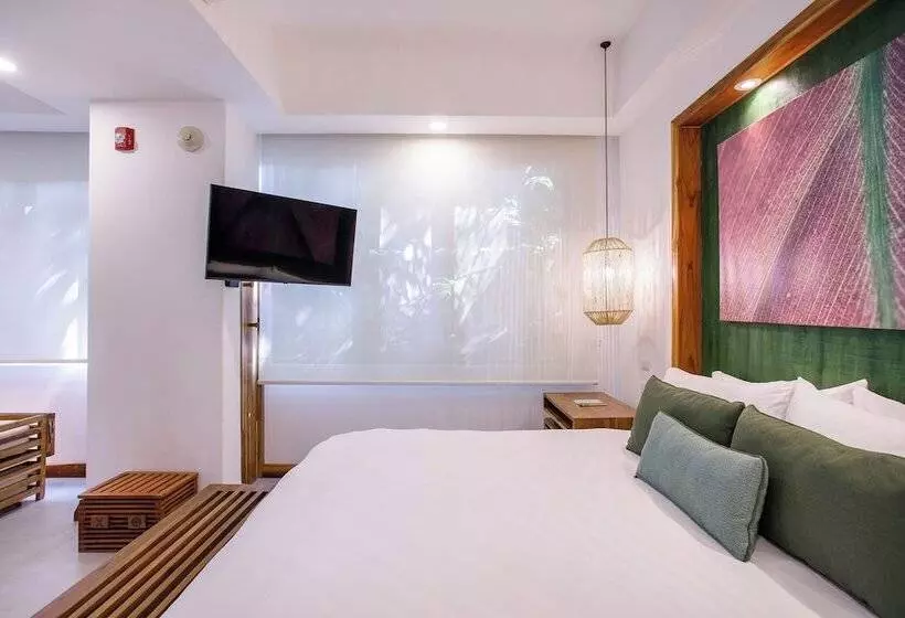 Standard Room, Arenas Del Mar Beachfront & Rainforest Resort Member Of The Cayuga Collection