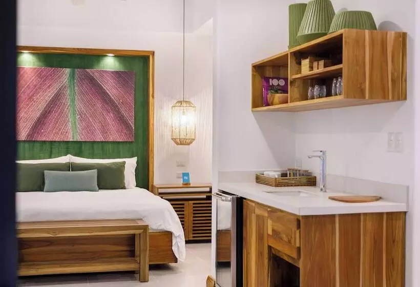 Standard Room, Arenas Del Mar Beachfront & Rainforest Resort Member Of The Cayuga Collection
