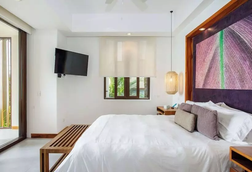 Superior Room, Arenas Del Mar Beachfront & Rainforest Resort Member Of The Cayuga Collection