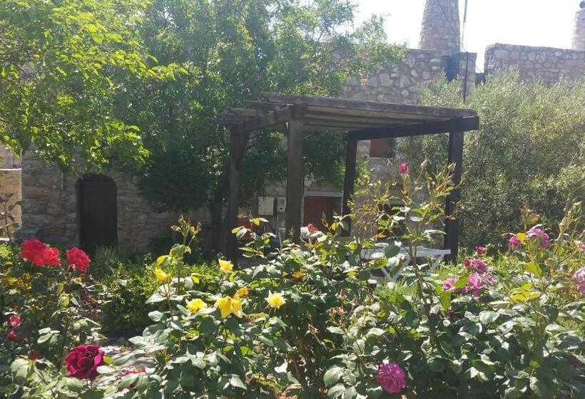 1ベッドルームアパートメント, Avgonima All Seasons