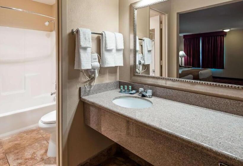 غرفة قياسية سرير كينج, Best Western Pine Springs Inn