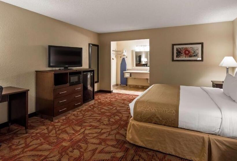 غرفة قياسية سرير كينج لذوى الإحتياجات الخاصة, Best Western Pine Springs Inn