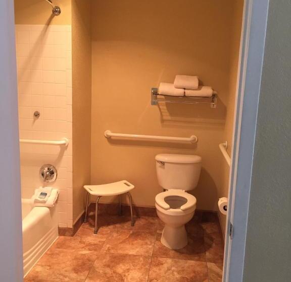 Номер Стандарт Адаптированный для Инвалидов, Best Western Pine Springs Inn