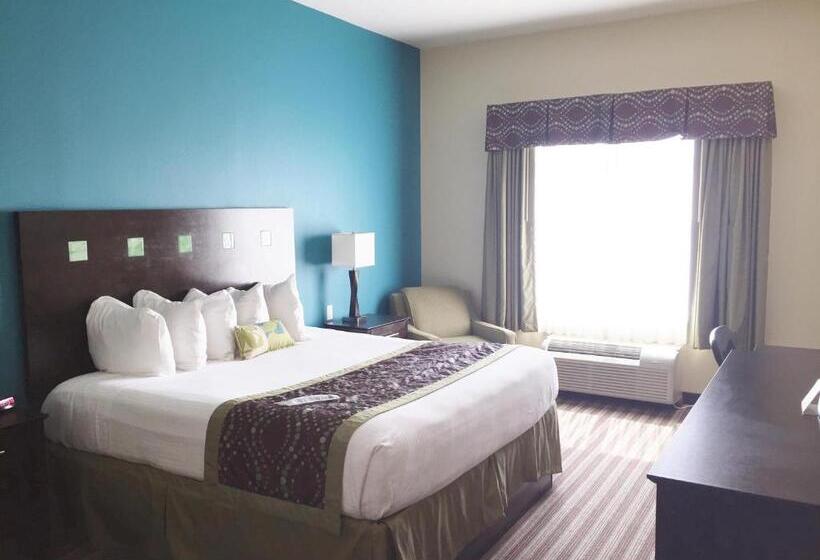 带大床的标准间, Best Western Plus Desoto Inn & Suites