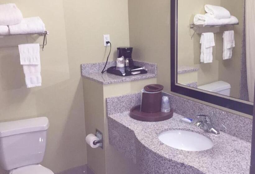 غرفة قياسية, Best Western Plus Desoto Inn & Suites