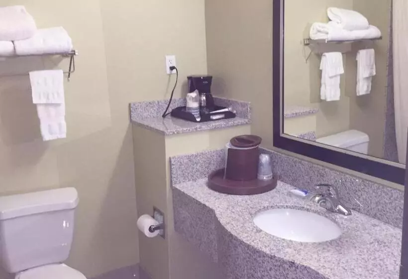スタンダードルーム, Best Western Plus Desoto Inn & Suites