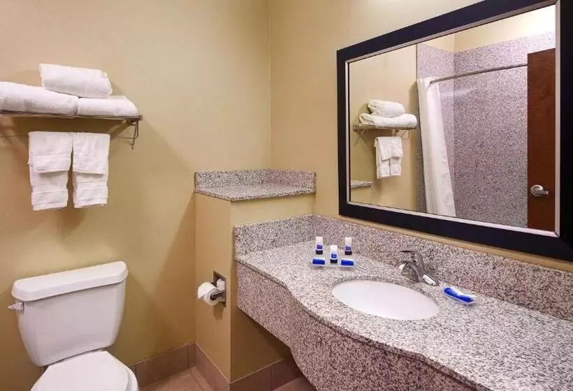 キングサイズベッドのスイートルーム, Best Western Plus Desoto Inn & Suites