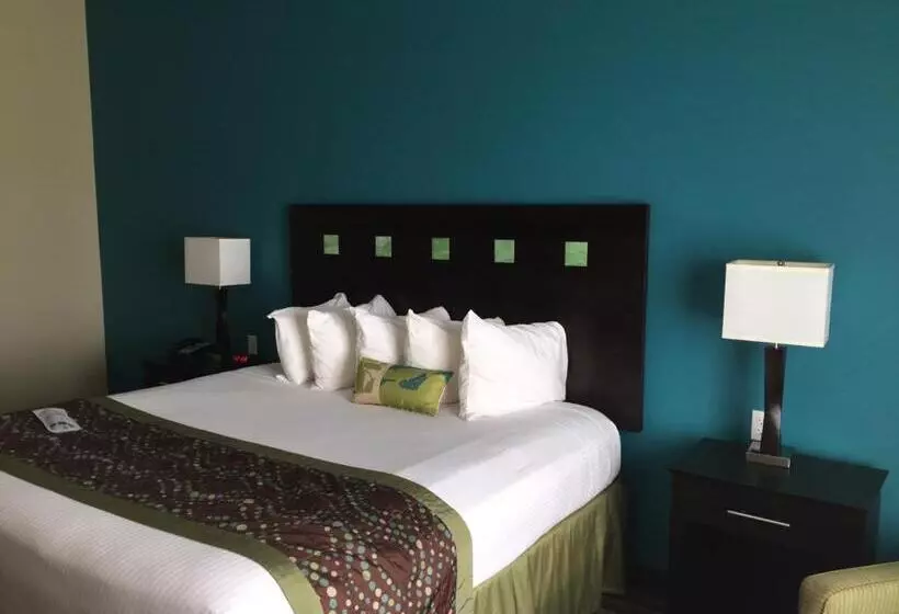 キングサイズベッドのスイートルーム, Best Western Plus Desoto Inn & Suites