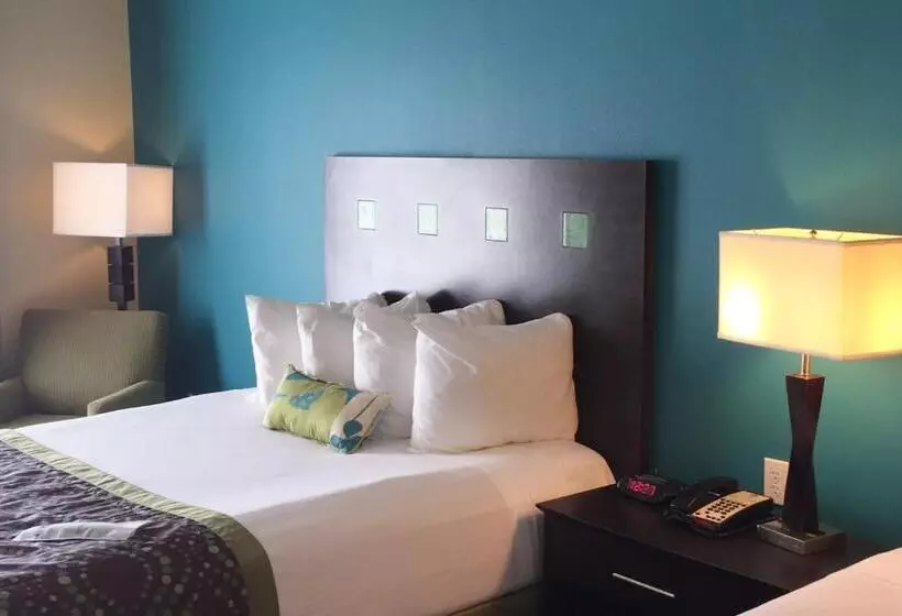 身障者適用キングサイズベッドルーム, Best Western Plus Desoto Inn & Suites