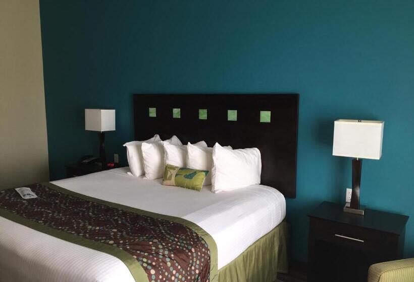 غرفة قياسية سرير كينج لذوى الإحتياجات الخاصة, Best Western Plus Desoto Inn & Suites