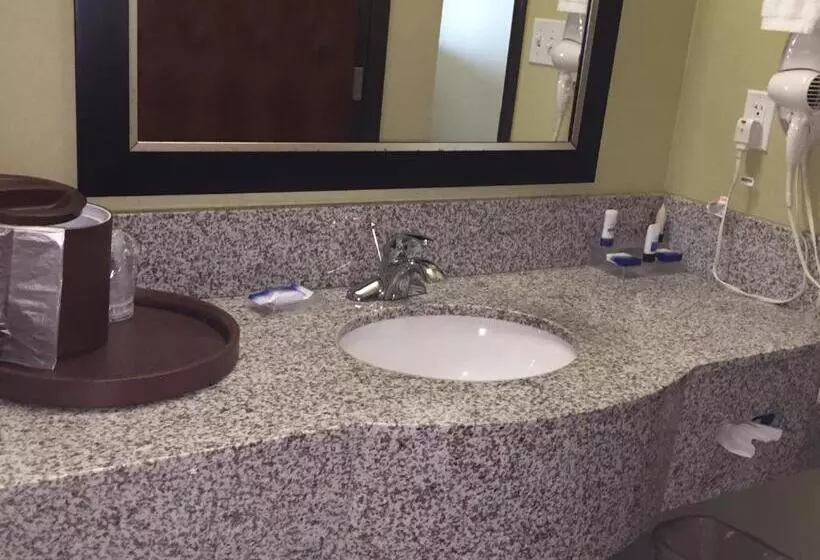 身障者適用スタンダードルーム, Best Western Plus Desoto Inn & Suites