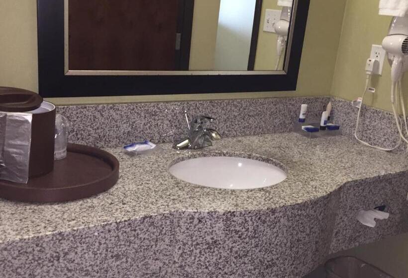 Стандартный Номер Кровать Кинг, Best Western Plus Desoto Inn & Suites