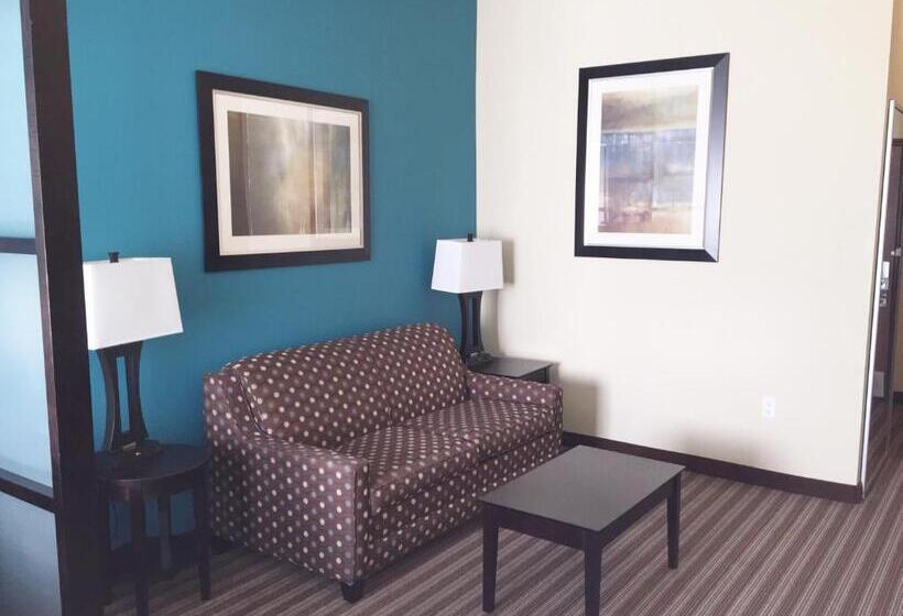 Номер Стандарт, Best Western Plus Desoto Inn & Suites