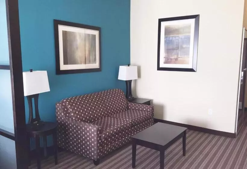 スタンダードルーム, Best Western Plus Desoto Inn & Suites