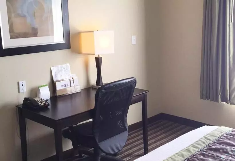 スタンダードルーム, Best Western Plus Desoto Inn & Suites