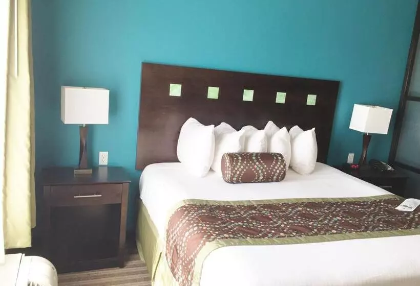 スタンダードルーム, Best Western Plus Desoto Inn & Suites