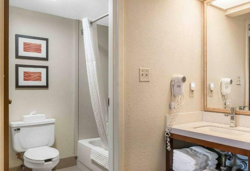 Номер Стандарт, Comfort Inn Pine Grove I 81 Hershey Area