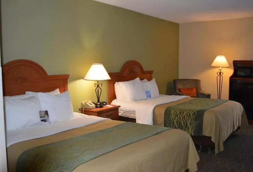 デラックスルーム, Comfort Inn Pine Grove I 81 Hershey Area
