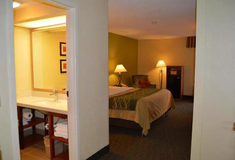 デラックスルーム, Comfort Inn Pine Grove I 81 Hershey Area