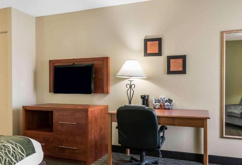Номер Стандарт, Comfort Inn Pine Grove I 81 Hershey Area