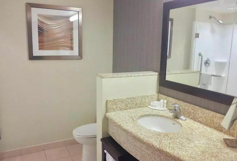 اتاق استاندارد با تخت بزرگ, Courtyard By Marriott Owensboro