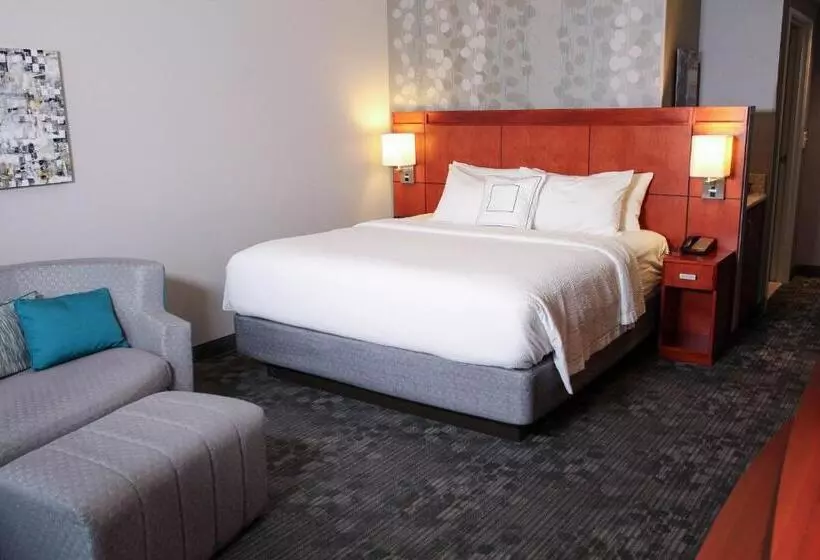 اتاق استاندارد با تخت بزرگ, Courtyard By Marriott Owensboro