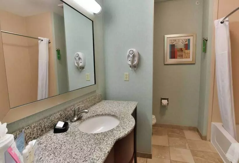 スタンダードスタジオ, Hampton Inn & Suites Middlebury