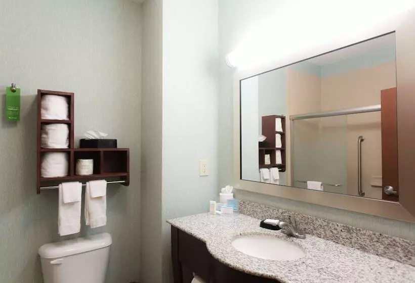 スタンダードルーム, Hampton Inn & Suites Middlebury