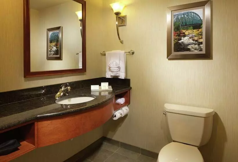 身障者適用スタンダードルーム, Hilton Garden Inn Milford